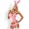 sexy Bunny suit Costume Lapin 4 pcs rose