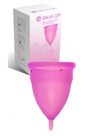 sexy Dalia Cup