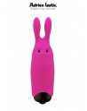 Lapin de poche vibrant