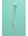 Vibro rechargeable MerryWand vert - FairyGasm