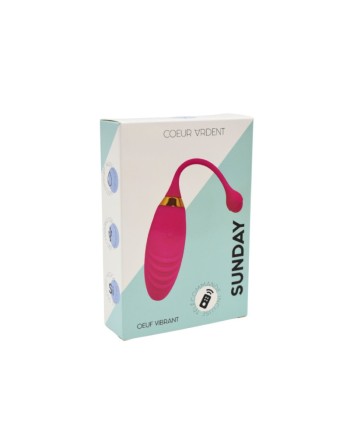 SUNDAY, Un Œuf vibrant USB avec télécommande, dans un silicone médical doux et rainuré 