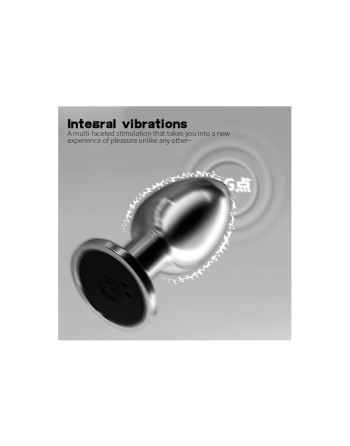 Plug vibrant acier inoxydable anal taille S avec télécommande, USB BOOTY 