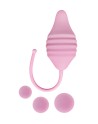 Pelvix Concept - Femintimate
