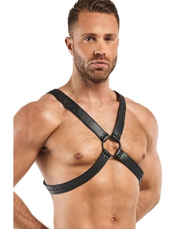 Harnais de bondage Lionel - Bedroom Fantasies