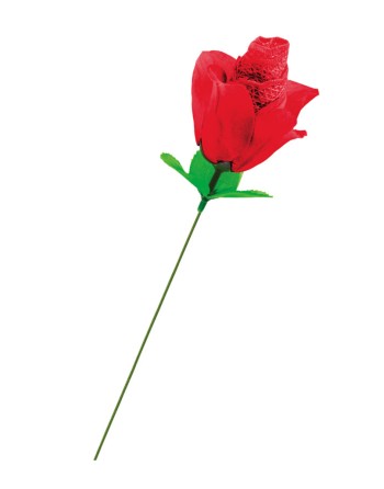 Rose surprise avec petite culotte - Fun Novelties