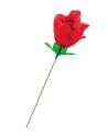 Rose surprise avec petite culotte - Fun Novelties