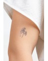 10 tatouages temporaires Kinky Collection