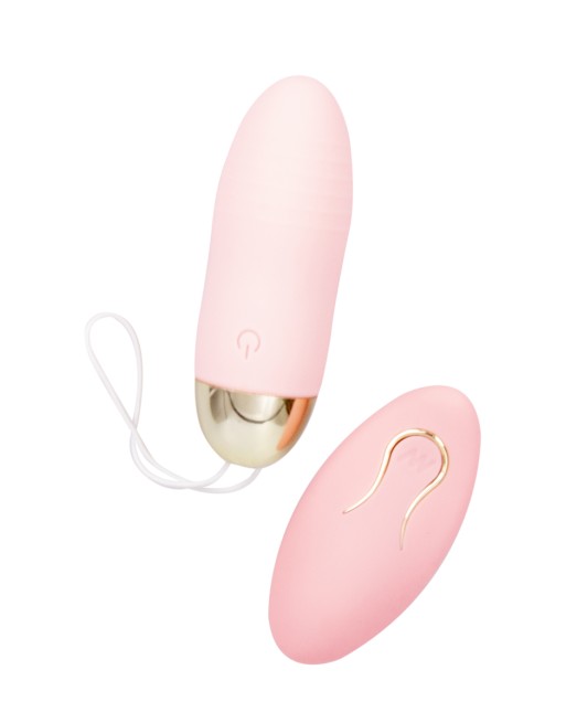 Oeuf vibrant télécommandé Dingus