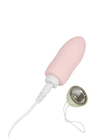 Oeuf vibrant télécommandé Dingus