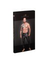 H063 Treggings Powerwetlook