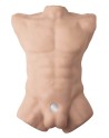 Masturbateur buste homme Apollo L