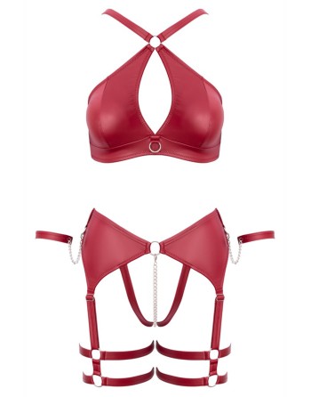 Ensemble BDSM bordeaux - Cotelli Bondage