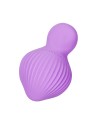 Mini vibro rechargeable EnchantedDesire violet - FairyGasm