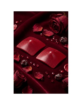 Nipple Métal rouge Cache tétons carré 