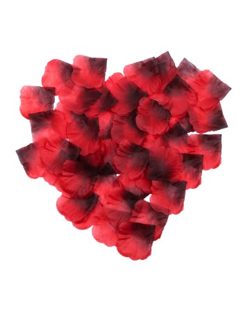 Pack de 100 Pétales de Rose
