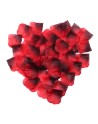 Pack de 100 Pétales de Rose