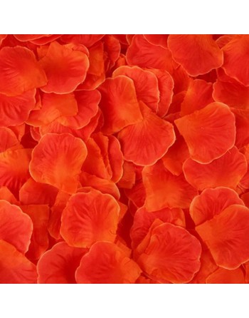 Pack de 100 Pétales de Rose