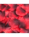 Pack de 100 Pétales de Rose