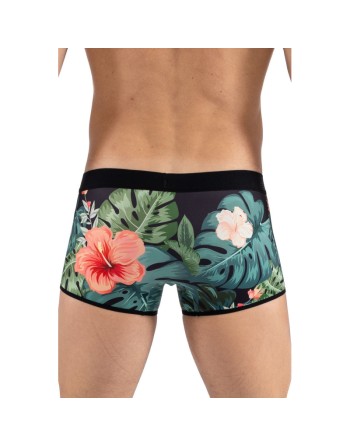 Boxer imprimé arome AROM 