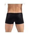 Boxer noir  gold Zebra 