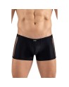 Boxer noir Daring 