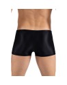Boxer noir Daring 