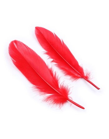 Kit coquin 4 pièces : Menottes, 2 plumes et masque rouge 