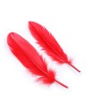 Kit coquin 4 pièces : Menottes, 2 plumes et masque rouge 