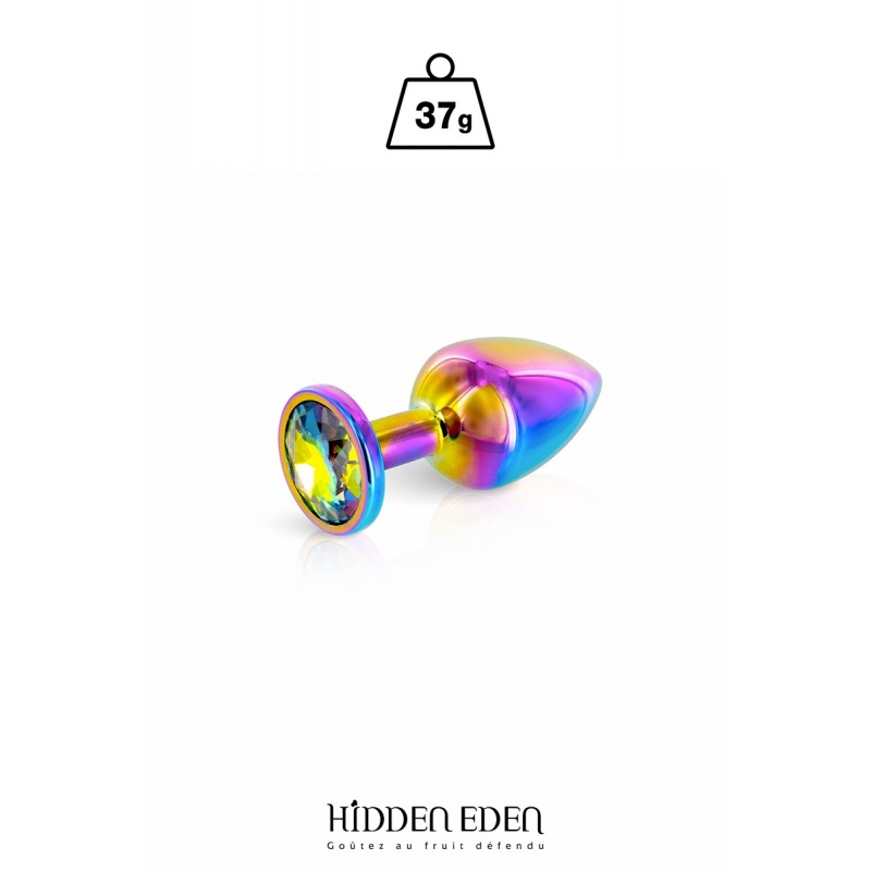 sexy Plug bijou aluminium Rainbow XS - Hidden Eden