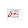 California Exotic Novelties